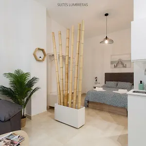  Apartment Lumbreras